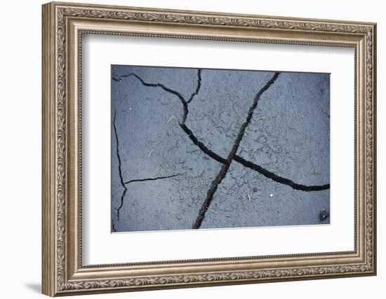 Fissures in the muddy bottom, early summer, close-up-David & Micha Sheldon-Framed Photographic Print