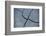 Fissures in the muddy bottom, early summer, close-up-David & Micha Sheldon-Framed Photographic Print