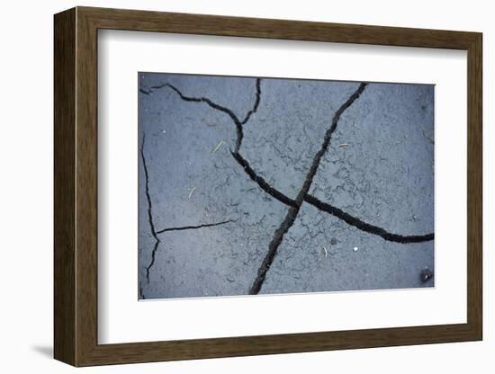 Fissures in the muddy bottom, early summer, close-up-David & Micha Sheldon-Framed Photographic Print