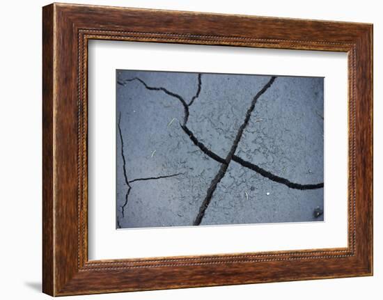 Fissures in the muddy bottom, early summer, close-up-David & Micha Sheldon-Framed Photographic Print