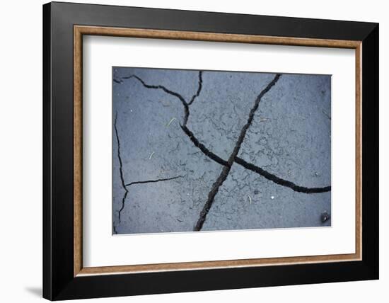 Fissures in the muddy bottom, early summer, close-up-David & Micha Sheldon-Framed Photographic Print