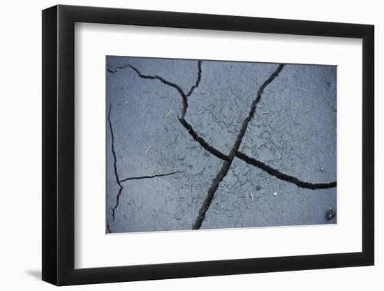 Fissures in the muddy bottom, early summer, close-up-David & Micha Sheldon-Framed Photographic Print