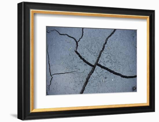 Fissures in the muddy bottom, early summer, close-up-David & Micha Sheldon-Framed Photographic Print