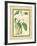 Fitch Orchid III-J. Nugent Fitch-Framed Art Print