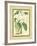 Fitch Orchid III-J. Nugent Fitch-Framed Art Print