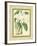 Fitch Orchid III-J. Nugent Fitch-Framed Art Print