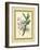 Fitch Orchid V-J. Nugent Fitch-Framed Art Print