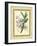 Fitch Orchid V-J. Nugent Fitch-Framed Art Print