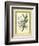 Fitch Orchid V-J. Nugent Fitch-Framed Premium Giclee Print