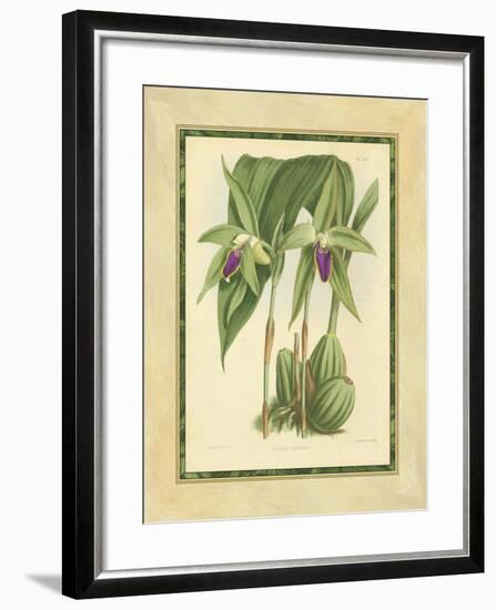 Fitch Orchid VI-J. Nugent Fitch-Framed Art Print