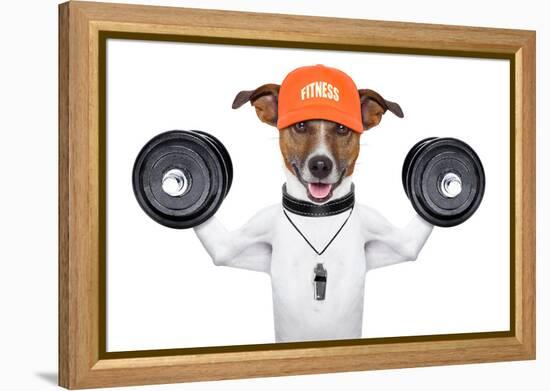 Fitness Dog-Javier Brosch-Framed Premier Image Canvas