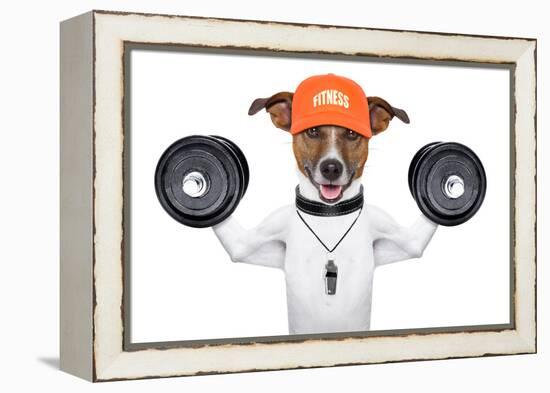 Fitness Dog-Javier Brosch-Framed Premier Image Canvas