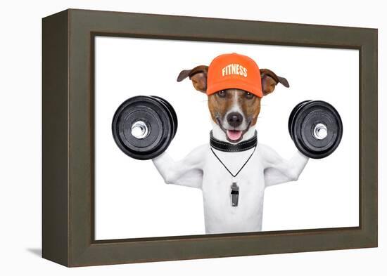 Fitness Dog-Javier Brosch-Framed Premier Image Canvas