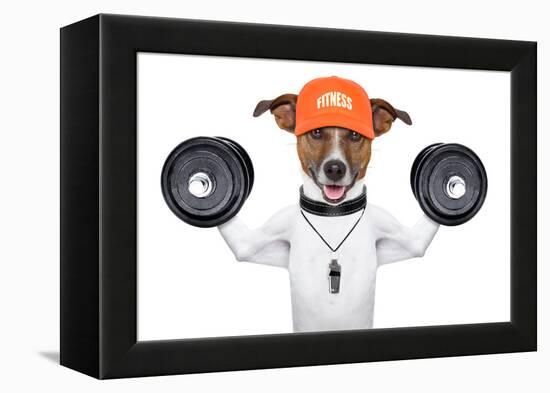 Fitness Dog-Javier Brosch-Framed Premier Image Canvas