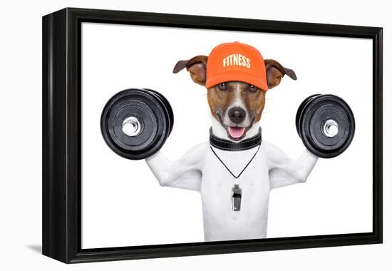 Fitness Dog-Javier Brosch-Framed Premier Image Canvas