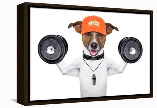 Fitness Dog-Javier Brosch-Framed Premier Image Canvas