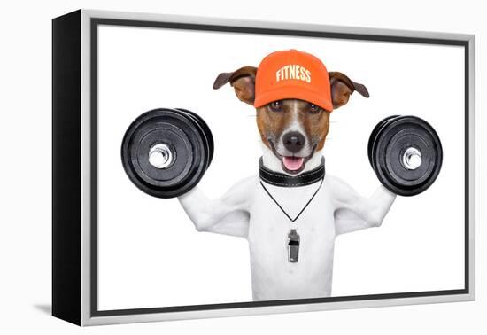 Fitness Dog-Javier Brosch-Framed Premier Image Canvas