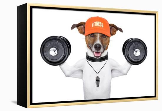 Fitness Dog-Javier Brosch-Framed Premier Image Canvas