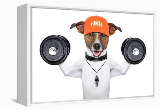 Fitness Dog-Javier Brosch-Framed Premier Image Canvas