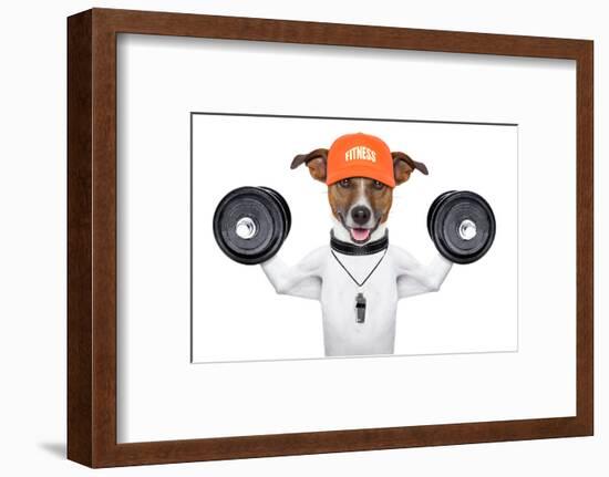 Fitness Dog-Javier Brosch-Framed Photographic Print