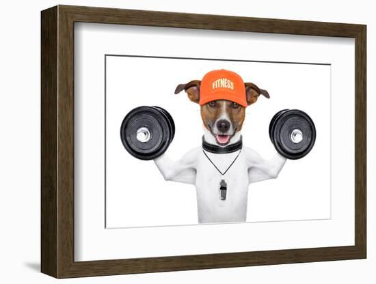 Fitness Dog-Javier Brosch-Framed Photographic Print