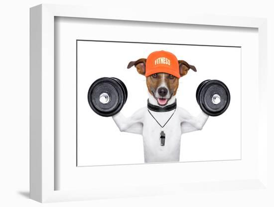 Fitness Dog-Javier Brosch-Framed Photographic Print