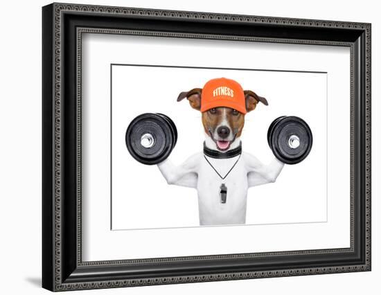 Fitness Dog-Javier Brosch-Framed Photographic Print