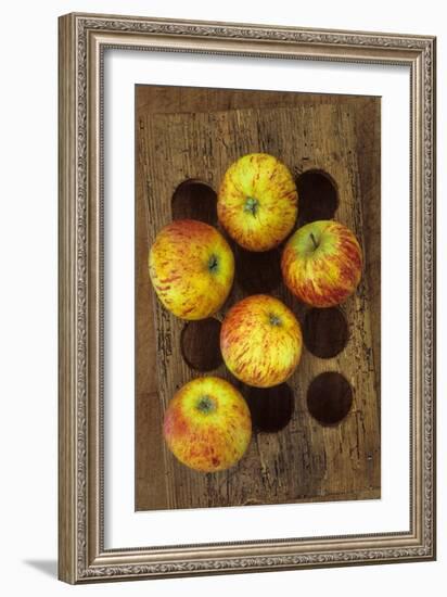 Five Apples-Den Reader-Framed Photographic Print