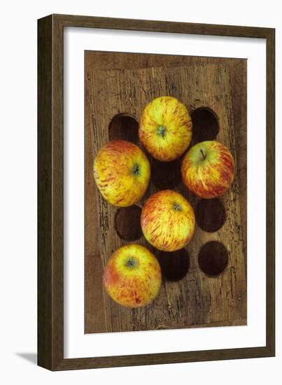 Five Apples-Den Reader-Framed Photographic Print