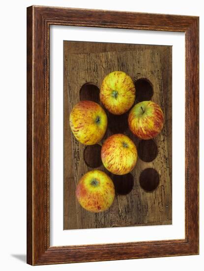 Five Apples-Den Reader-Framed Photographic Print