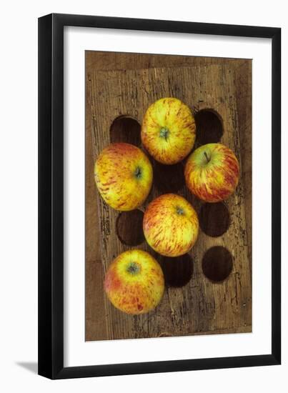Five Apples-Den Reader-Framed Photographic Print