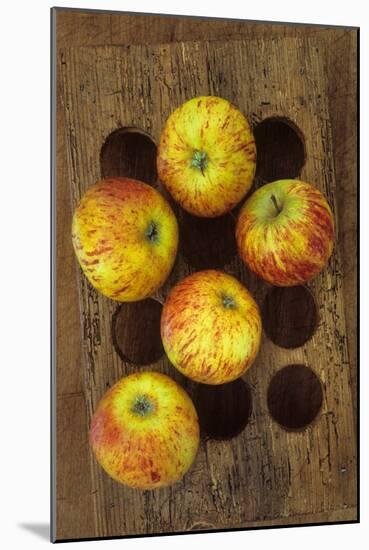 Five Apples-Den Reader-Mounted Photographic Print