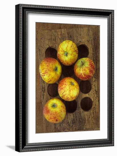 Five Apples-Den Reader-Framed Photographic Print