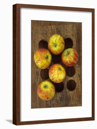 Five Apples-Den Reader-Framed Premium Photographic Print