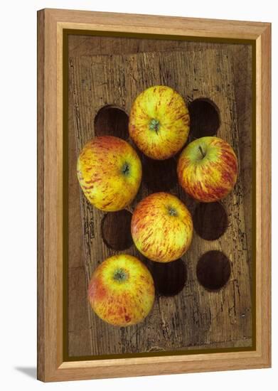 Five Apples-Den Reader-Framed Premier Image Canvas