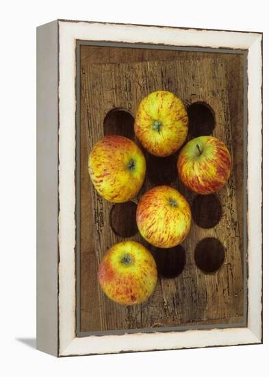 Five Apples-Den Reader-Framed Premier Image Canvas