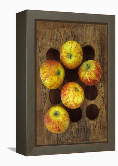 Five Apples-Den Reader-Framed Premier Image Canvas