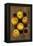 Five Apples-Den Reader-Framed Premier Image Canvas