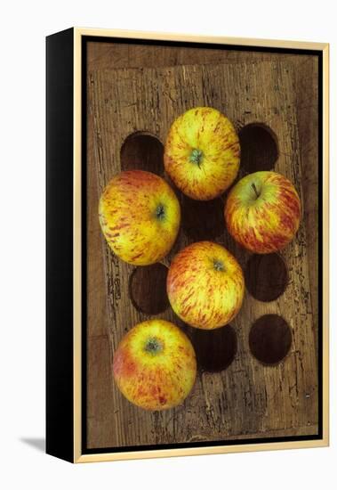 Five Apples-Den Reader-Framed Premier Image Canvas