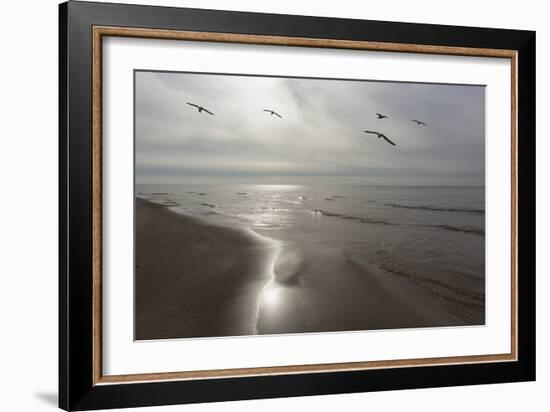 Five Birds, Grand Haven, Michigan '14 - Color-Monte Nagler-Framed Photographic Print