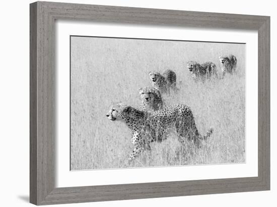 Five Brothers in Hunting-Jun Zuo-Framed Giclee Print