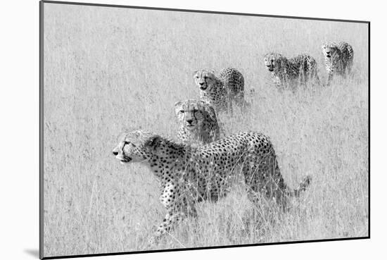 Five Brothers in Hunting-Jun Zuo-Mounted Giclee Print