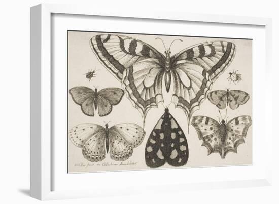 Five Butterflies, a Moth, and Two Beetles-Wenceslaus Hollar-Framed Giclee Print