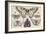 Five Butterflies, a Moth, and Two Beetles-Wenceslaus Hollar-Framed Giclee Print