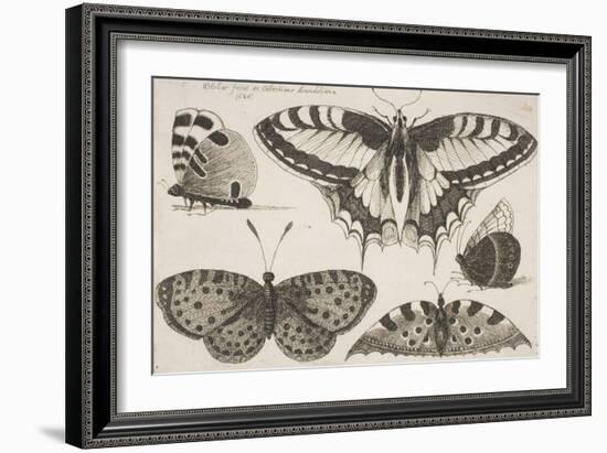 Five Butterflies-Wenceslaus Hollar-Framed Giclee Print