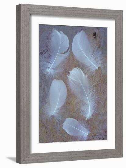 Five Curved White Swan Feathers Lying On Pink And Orange Rough Slate-Den Reader-Framed Photographic Print