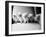 Five Kittens-Kim Levin-Framed Photographic Print