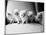 Five Kittens-Kim Levin-Mounted Photographic Print