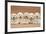 Five Labradoodle Puppies, 9 Weeks-Mark Taylor-Framed Photographic Print