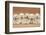 Five Labradoodle Puppies, 9 Weeks-Mark Taylor-Framed Photographic Print